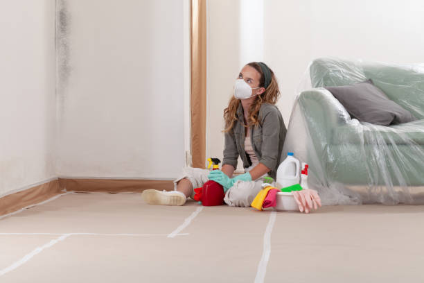 Reliable Mold Inspection contractor in Willow Street, PA by WQB Mold Removal